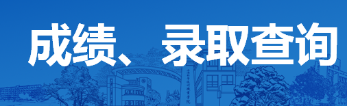 成绩、录取查询