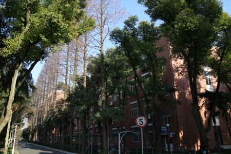 校园风光