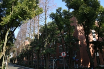校园风光