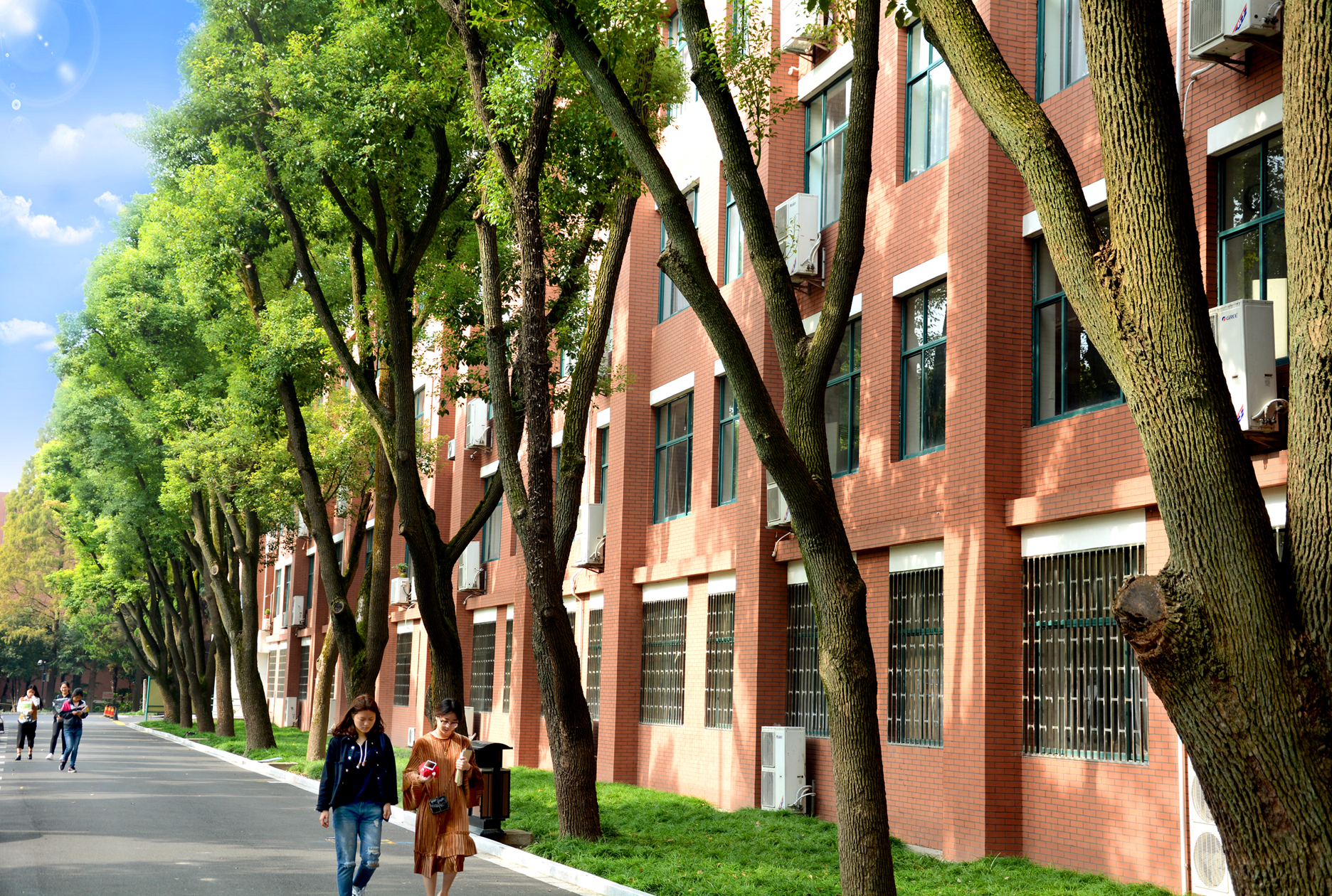 上海科技管理学校_上海科技管理学校_上海科技管理学校